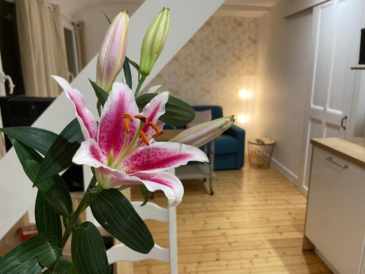 Houlgate Appartement La Briarde Dış mekan fotoğraf